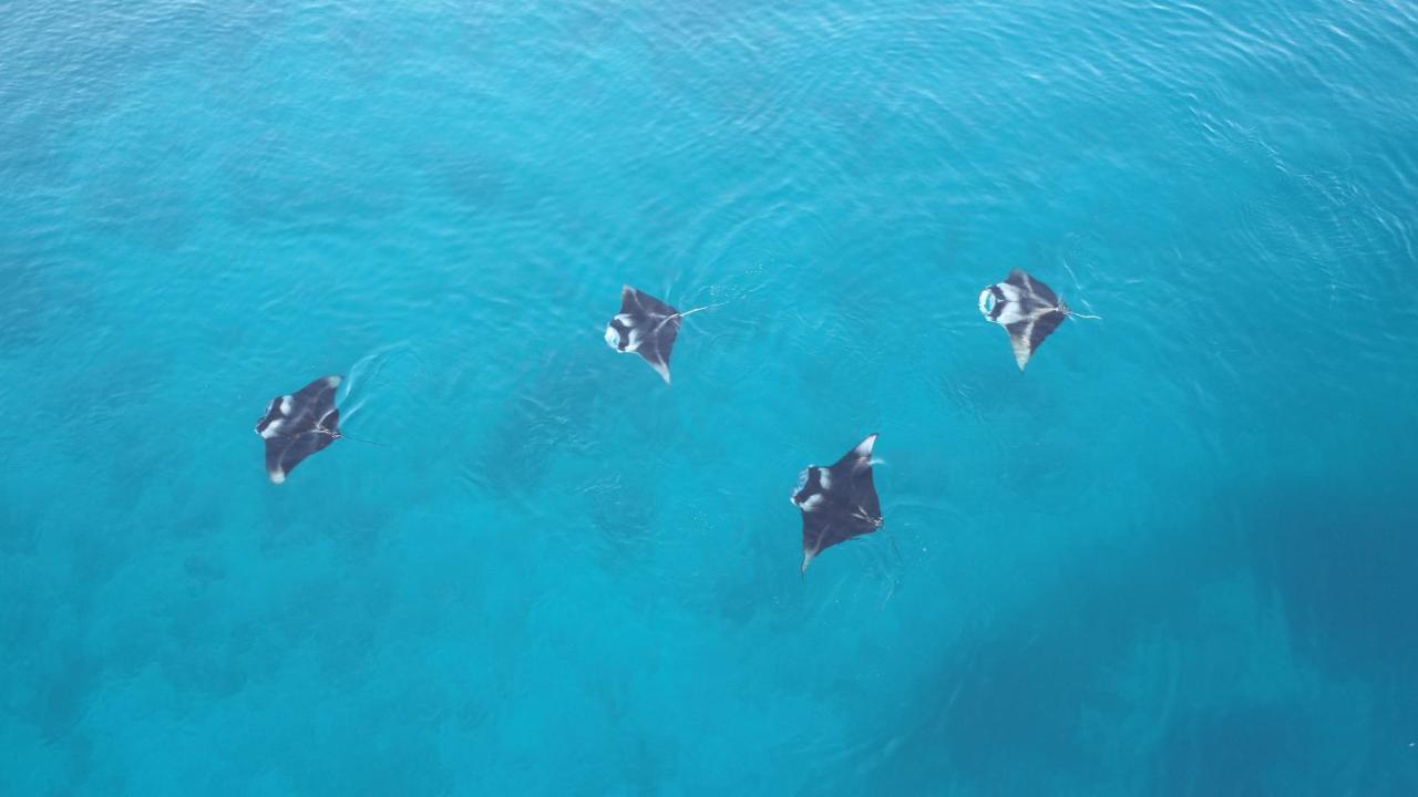 Rasreef Rasdhoo Maldives Hotel Kültér fotó