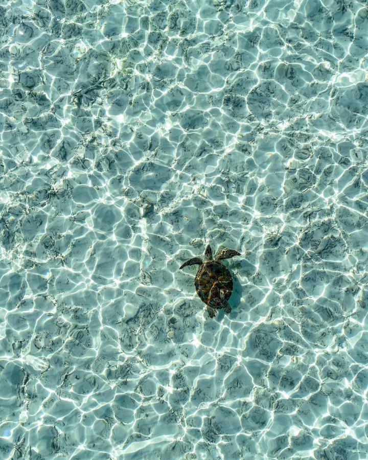Rasreef Rasdhoo Maldives Hotel Kültér fotó